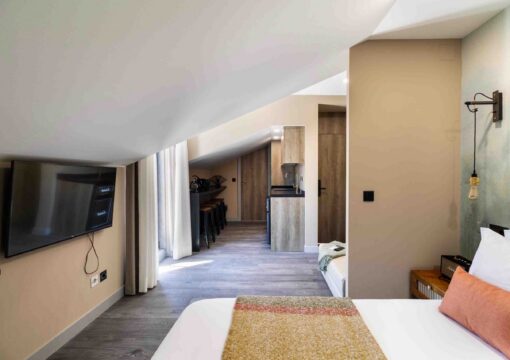 Penthouse Flat with Terrace
