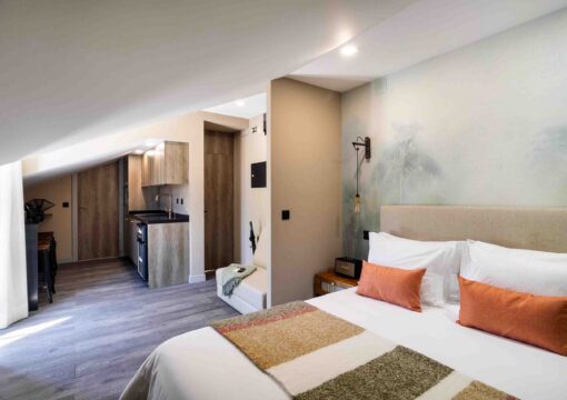 Penthouse Flat with Terrace