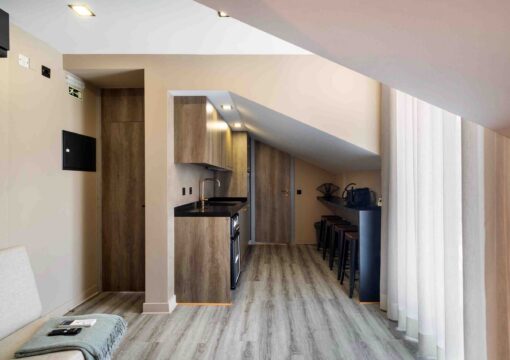 Penthouse Flat with Terrace