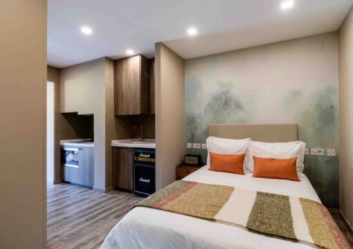 Two Bedroom Flat with Terrace